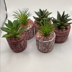 Set of Decorative Red Planters with Succulents